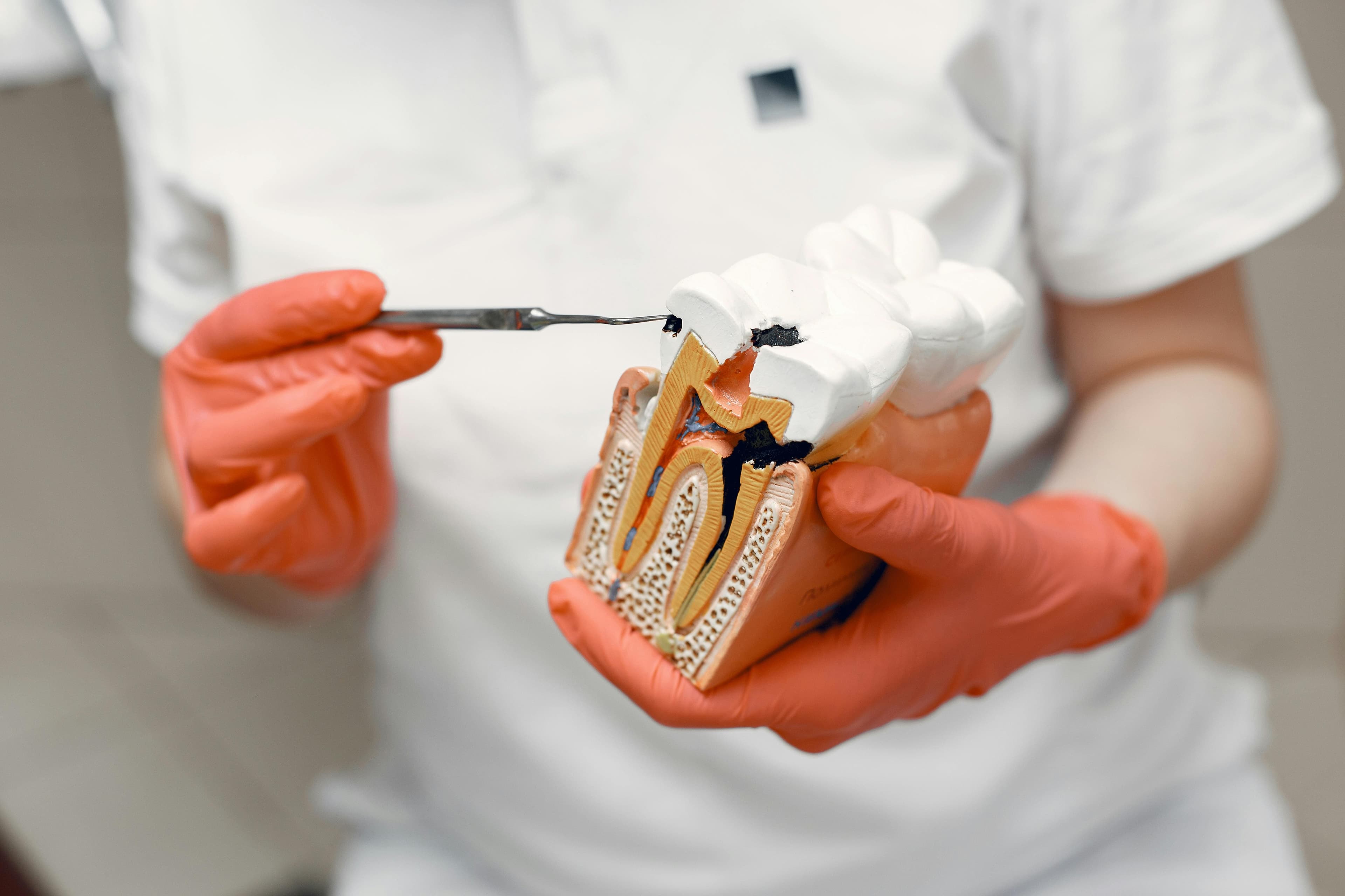 Dentist examining a patient for signs of a dental abscess