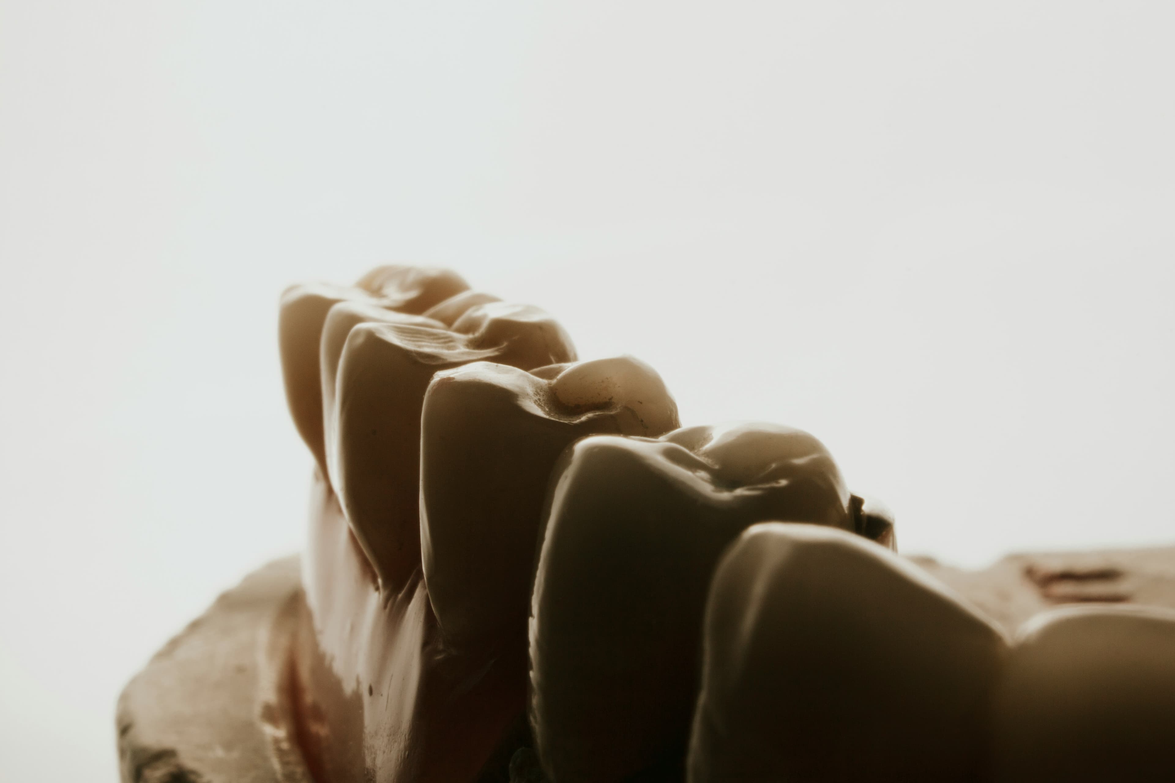 Dentist assessing an emergency patient before tooth extraction